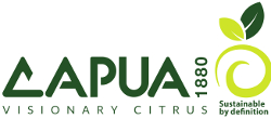 CAPUA1880, sponsor of the 2026 ISEO Medal of Honor